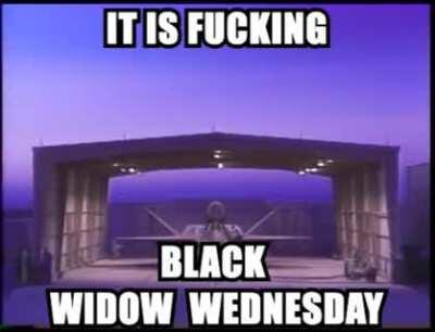 A day early, but tomorrow will be YF-23 BLACK WIDOW WEDNESDAY!