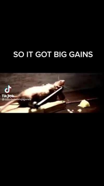 gains