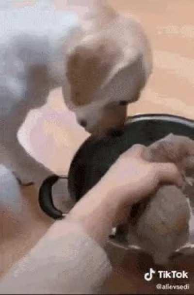 Making stew