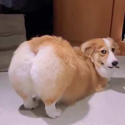 Reddit models be like ' I just posted an Inspiration quote ,is it cute ? 🐕🍑