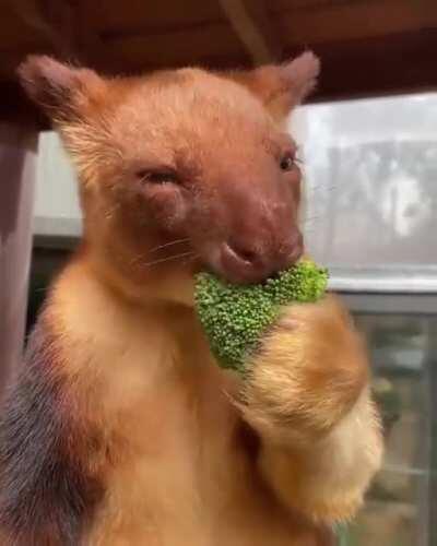 Don't forget to eat your greens mate