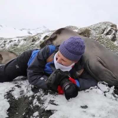 The perils of photographing wildlife.