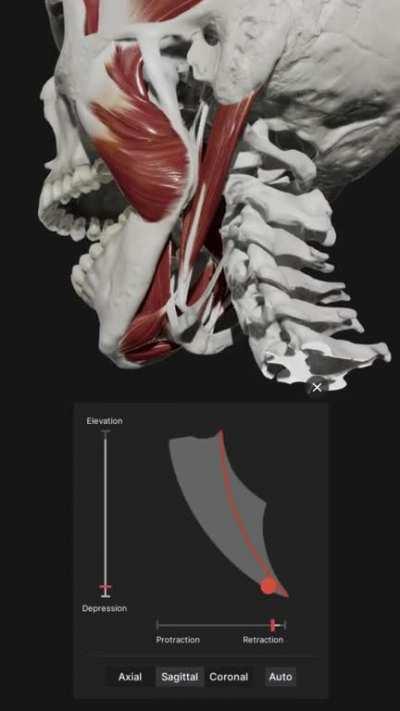 Range of motion of the human jaw