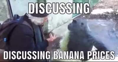 Banan