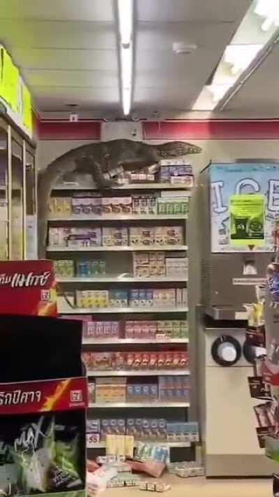 Rango just wants to get some groceries