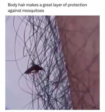 Body hair makes a great layer of protection against mosquitoes