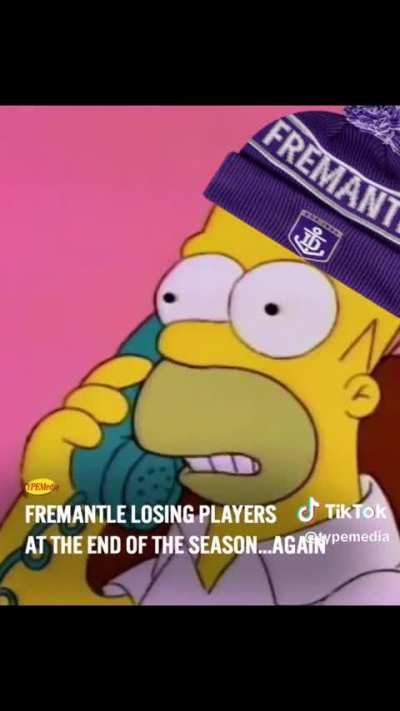 2023 AFL Simpsons Season Review (Credit: TYPEMedia)