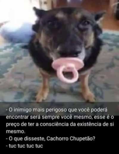 Cachorro Chupetão