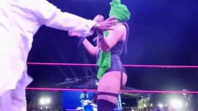 Rebel Had The Biggest Booty In Wrestling...At The Time.