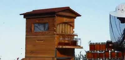 Beehive designed for honey extraction via taps.