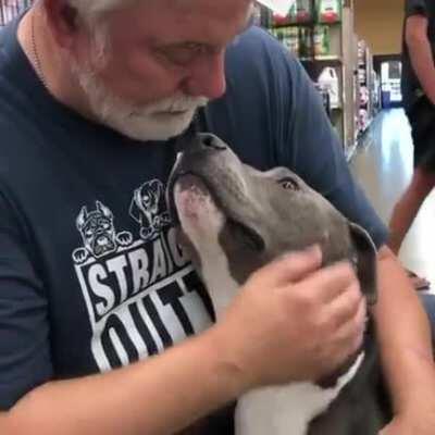 The look of this cute pittie after being rescued