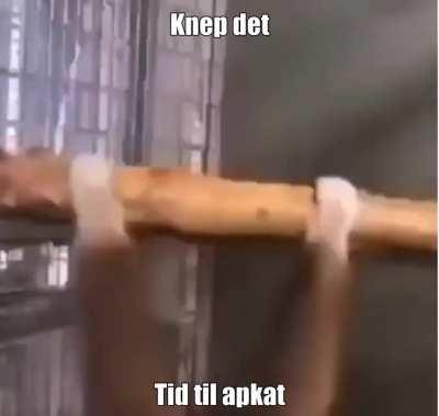 Tid til at begå apkat