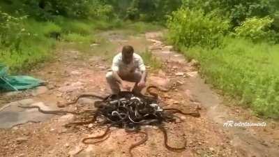 The way this guy releases his snakes