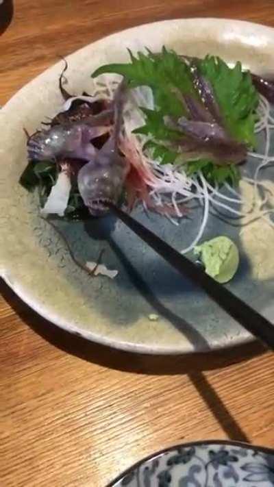 Fish served at a Japanese restaurant grabs onto chopstick