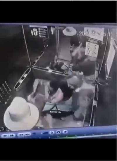 Dog is bitten by another dog in elevator, then the owner of the affected dog kicks the aggressor