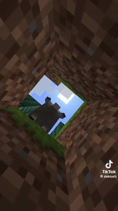 Someone did Racoon Pedro in minecraft