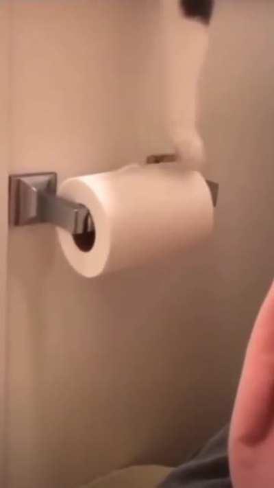 Touch tha toilet paper