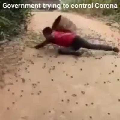 Government dealing with Corona Virus.