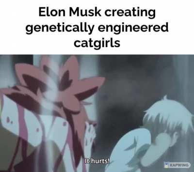 So Elon how’s it going?