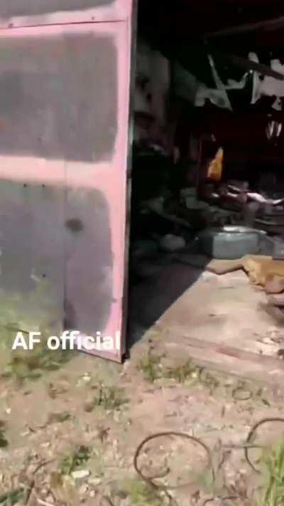 Ukrainian infantry patrol through an abandoned village near the front.