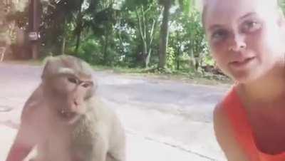 Trying to befriend a wild monkey