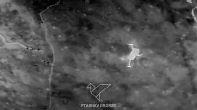 Ukrainian Ptashka group published a video showing the downing of numerous Russian 