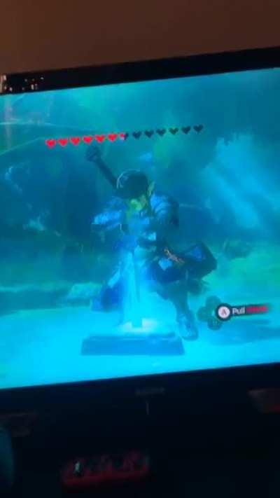 I got my boyfriend addicted to BOTW and he was struggling with having enough hearts for the Master Sword but he finally did it and sent me this. I’m so proud