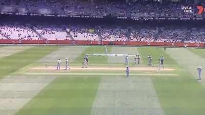 Cricketer hit by Spider-Cam