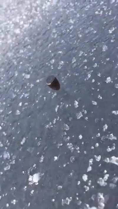 Bullets spinning on the ice.