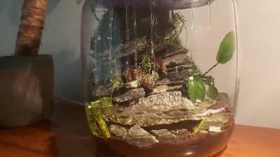 Got bored and rescaped the rainy moss cave into a 