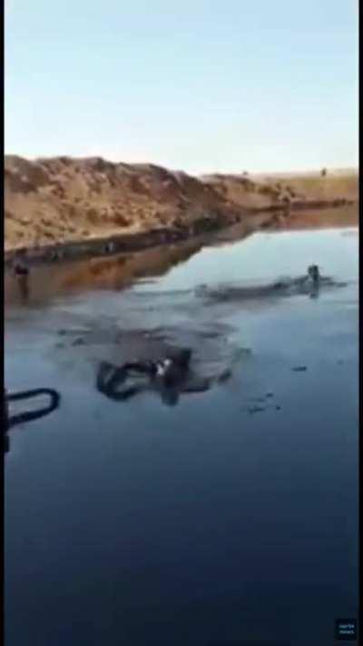 A bunch of kids swimming in a lake of crude oil