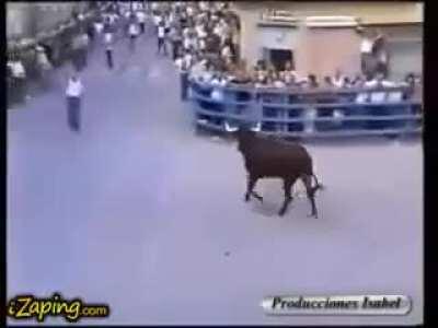 Bull calms down when he recognizes his feeder