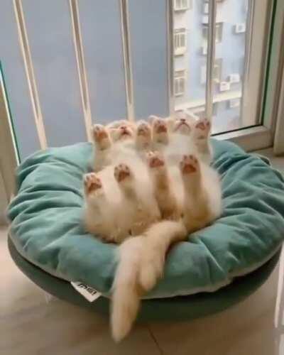 We sleep with our toes to the sky