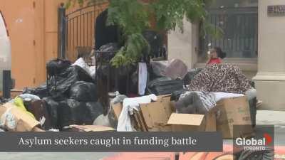 Look at this Global news live piece. A Nigerian Asylum seeker lands at Toronto airport and goes straight to a homeless shelter; Another says he was homeless back home and that Canada is his 