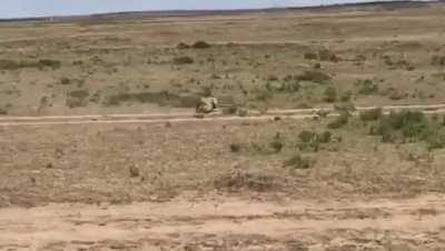 Leopard attacks a Warthog piglet, but receives an unexpected surprise.