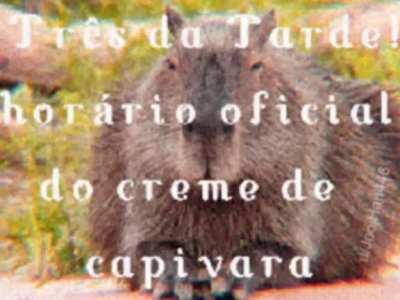 Horario Oficial do Creme de Capivara!