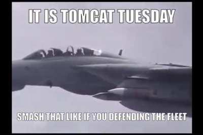 IT IS TOMCAT TUESDAY [video]