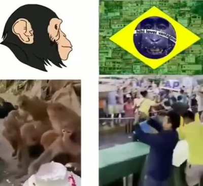 Como vcs escrevem &quot;macaco&quot;?