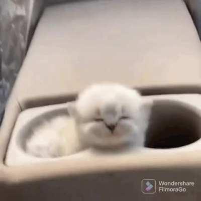 Seeing this kitten finding a safe place to sleep