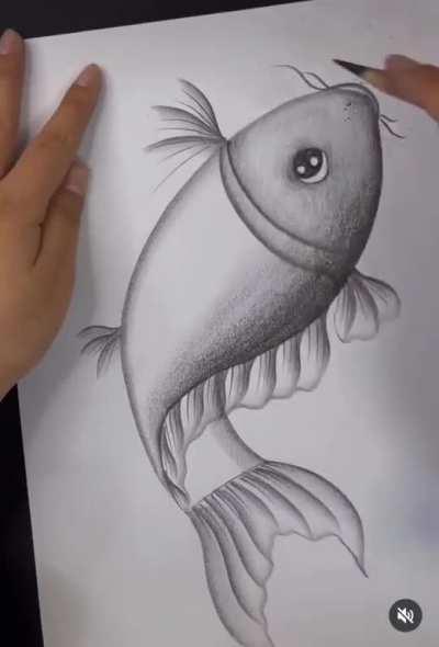 The way this artist draws a fish