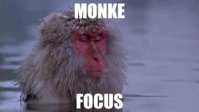 Monke Focus