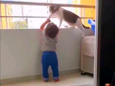 Cat parenting their human's toddler