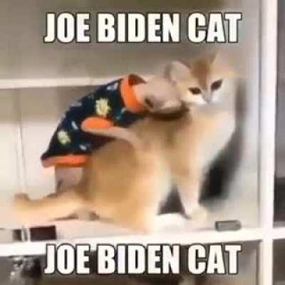 No joe✋🚔🤬🤬