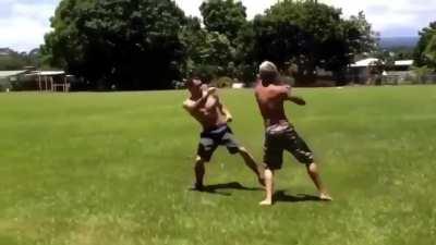 Fight ending leg kick