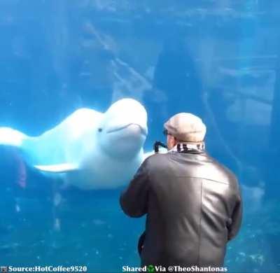 Beluga loves the saxophone