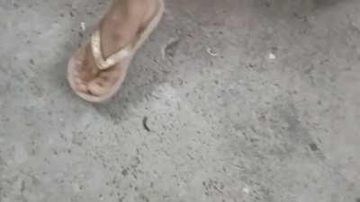 asia girl in flipflops vs centipede