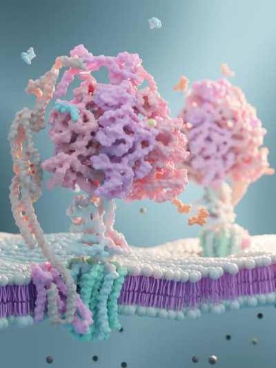 Animated ATP synthase