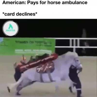 Horse Ambulance Can’t Hurt You