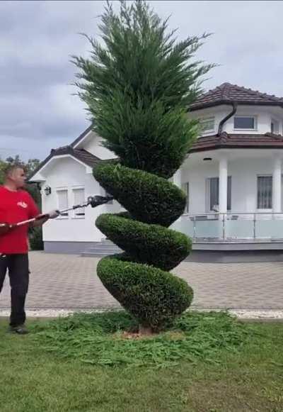 The tree barber is very good at his job.