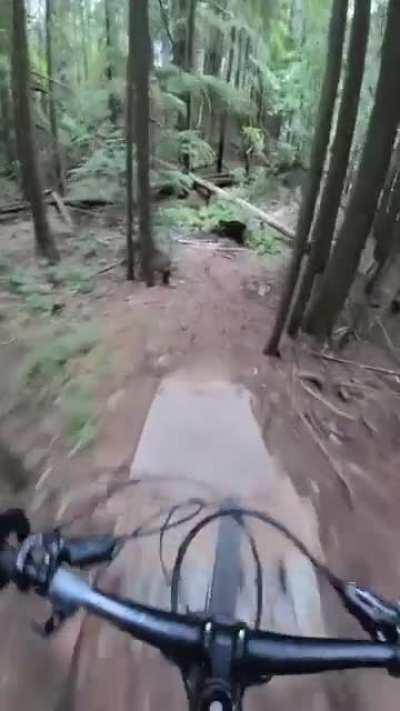 Cycling down a steep slope